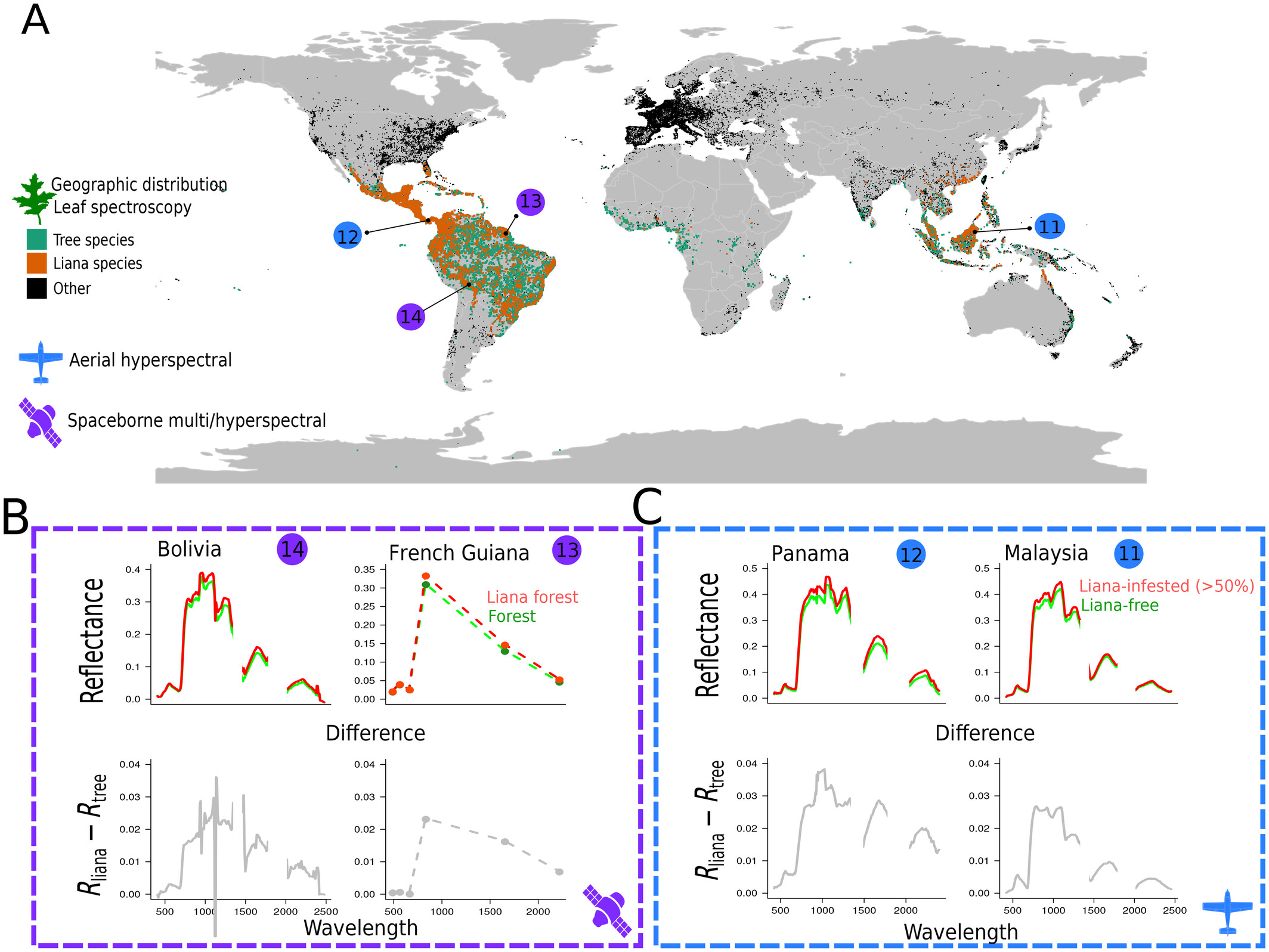 Spectral distinction between liana-infested and non-infested canopies